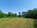 38090 Emmett Carter Road - Photo 7