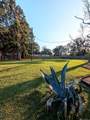 11858 Springfield Rd - Photo 17