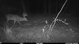 23611 Riley Rd - Photo 24
