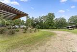 6409 Pohlman Rd - Photo 32