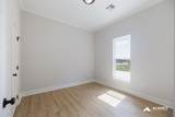 10142 Sanctuary Oaks Dr - Photo 12