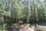 0 Aunt Margies Road - Photo 9