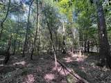 Lots A-1 & A-2 Stoney Point Burch Rd - Photo 29