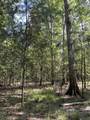Lots A-1 & A-2 Stoney Point Burch Rd - Photo 30