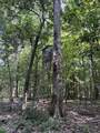 Lots A-1 & A-2 Stoney Point Burch Rd - Photo 32