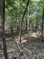 Lots A-1 & A-2 Stoney Point Burch Rd - Photo 33