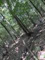 Lots A-1 & A-2 Stoney Point Burch Rd - Photo 34