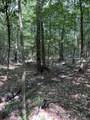 Lots A-1 & A-2 Stoney Point Burch Rd - Photo 35