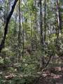 Lots A-1 & A-2 Stoney Point Burch Rd - Photo 36
