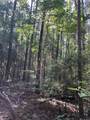 Lots A-1 & A-2 Stoney Point Burch Rd - Photo 37