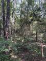 Lots A-1 & A-2 Stoney Point Burch Rd - Photo 38