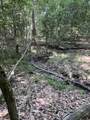 Lots A-1 & A-2 Stoney Point Burch Rd - Photo 39