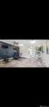 943 Renova Drive - Photo 9