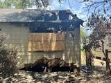3032 Seneca St - Photo 6