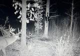 Z-7 Z Mcdaniel Rd - Photo 4