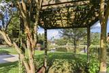 40219 Swan Cir - Photo 4