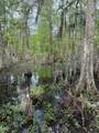 290 Bayou Tranquille Rd - Photo 21
