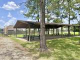 33868 Natures Way - Photo 21