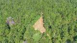 Tract C Peterson Rd - Photo 19