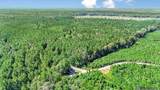 Tract C Peterson Rd - Photo 25