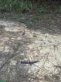 Tract C Peterson Rd - Photo 28