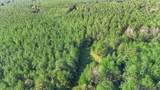 Tract C Peterson Rd - Photo 8