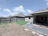 23289 Mango Dr - Photo 18