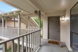 5120 Butter Creek Ln - Photo 19
