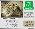 11066 La Hwy 73 - Photo 1