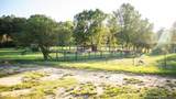 11342 La Hwy 955 - Photo 16
