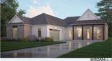 668 Night Heron Lane - Photo 1