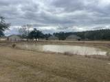 31618 Ferina Ln - Photo 4