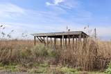 3316 Highway 665 - Photo 1