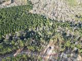 Lot 3 Livingston Farms Lane - Photo 2