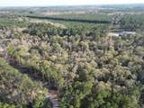Lot 6 Livingston Farms Lane - Photo 14