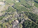 Lot 6 Livingston Farms Lane - Photo 16