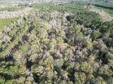 Lot 6 Livingston Farms Lane - Photo 9