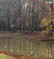 4009 Oak Run Dr - Photo 4