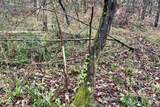 02 Hinton Rd - Photo 11