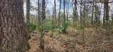 Tract A-4 Reinninger Rd - Photo 3