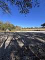29297 Highway 11 - Photo 2