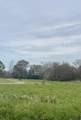 TBD Oakland Rd - Photo 1