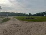 43037 Billville Rd - Photo 5