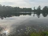 43037 Billville Rd - Photo 8