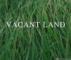 2.54 acres Longleaf Ln - Photo 1