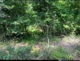  Amite River Rd - Photo 2