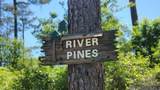 31531 River Pines Dr - Photo 2
