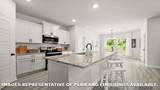 7319 Brook Hollow Drive - Photo 10
