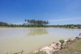 17207 Schoolhouse Rd - Photo 33