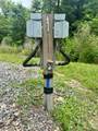 116 Robins Lake Rd - Photo 10